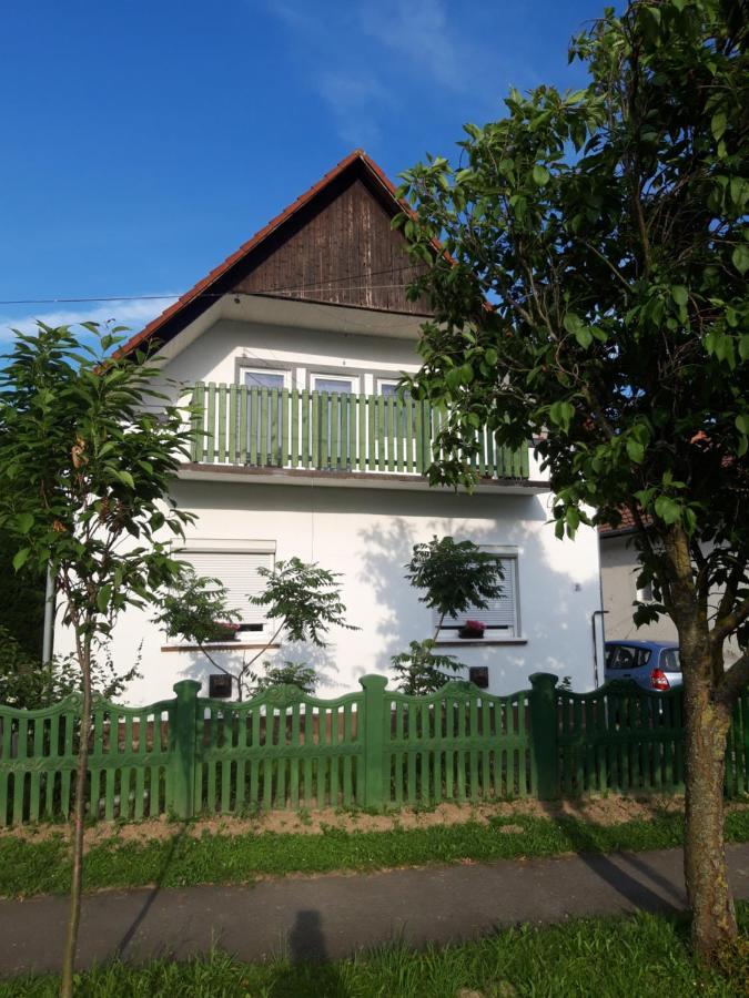 Alba-Haz Apartman Zalakaros Buitenkant foto